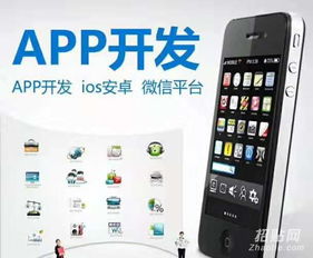 浙江軟件開發杭州app開發寧波小程序開發